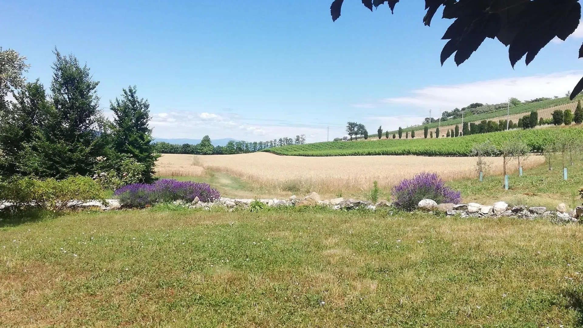 Appartement Corte Monticello à Barbarano Vicentino
